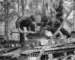 Maintenance on the Frontlines: PzKpfw II in Finland