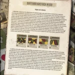 Panzer Camo Reichswehr Division Book Page